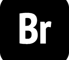 Adobe Bridge Full Descargar