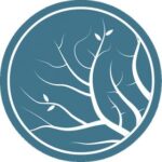 Lumion Pro Full Descargar