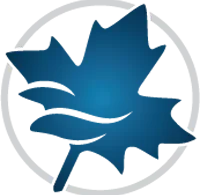 Maplesoft Maple Full Descargar