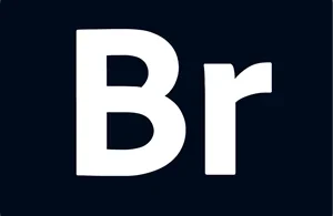 Adobe-Bridge-2026-Full-Descargar-Gratis